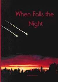 bokomslag When Falls the Night