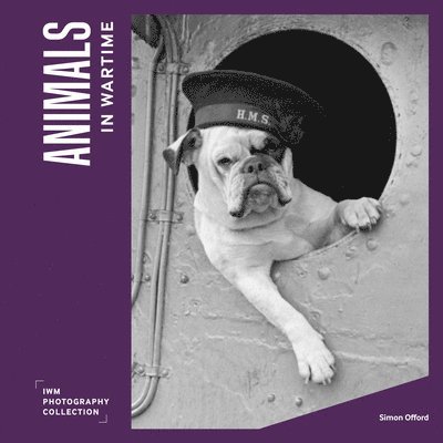 Animals in Wartime 1