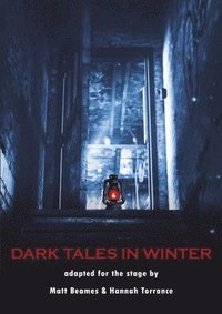 bokomslag Dark Tales in Winter