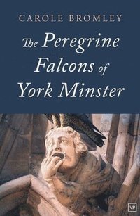 bokomslag Peregrine Falcons of York Minster