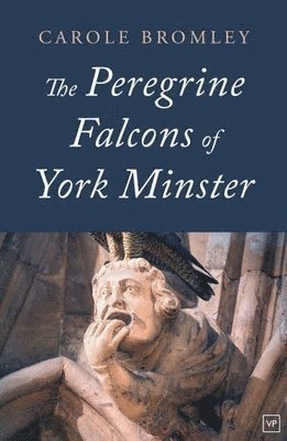 bokomslag Peregrine Falcons of York Minster