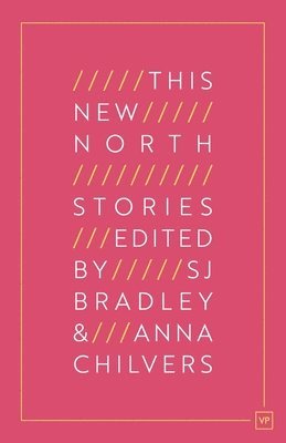 bokomslag This New North