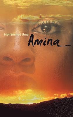 bokomslag AMINA - Polish Edition