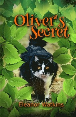bokomslag Oliver's Secret