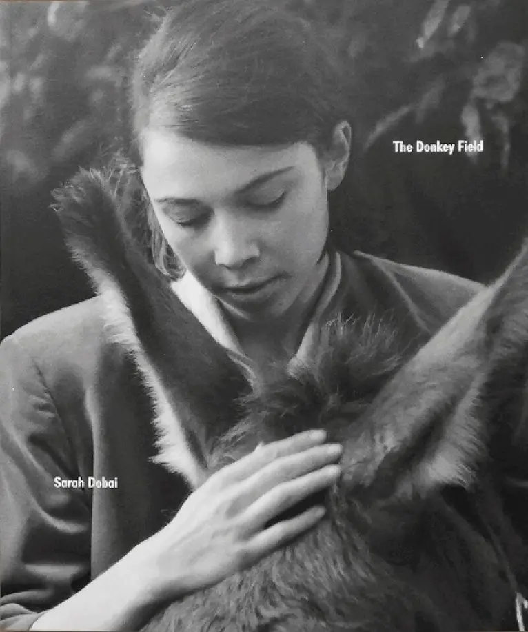 Sarah Dobai - DONKEY FIELD, Häftad. Tillgänglighet: Tillfälligt slut