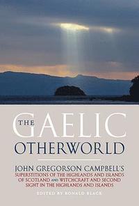 bokomslag The Gaelic Otherworld