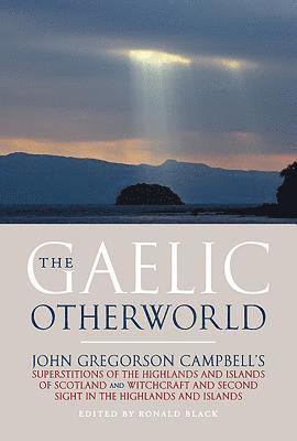 bokomslag The Gaelic Otherworld