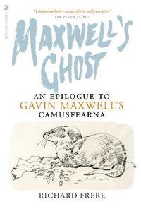 bokomslag Maxwell's Ghost