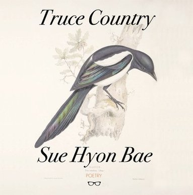 bokomslag Truce Country