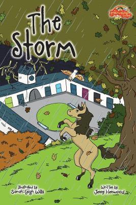 Jenny Henwood - Storm, Häftad