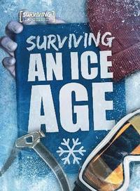 bokomslag Surviving an Ice Age