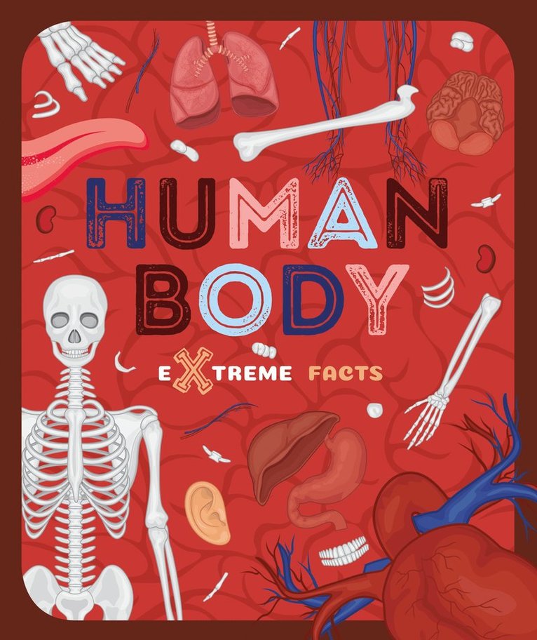 Human Body 1