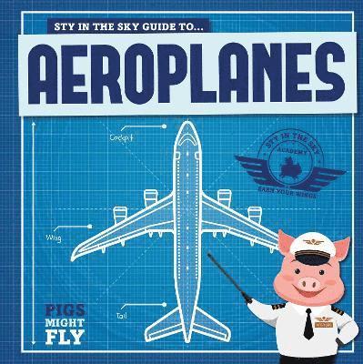 Aeroplanes 1