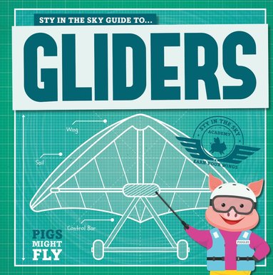 bokomslag Gliders