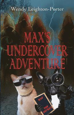 Max's Undercover Adventure 1