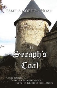 bokomslag The Seraph's Coal
