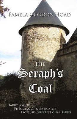 Pamela Gordon Hoad - Seraph's Coal, Häftad