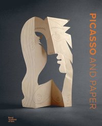 bokomslag Picasso and Paper