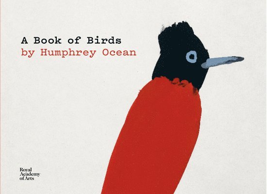 A Book of Birds 1