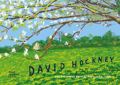 David Hockney, William Boyd, Edith Devaney - David Hockney, Inbunden