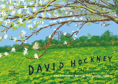 bokomslag David Hockney