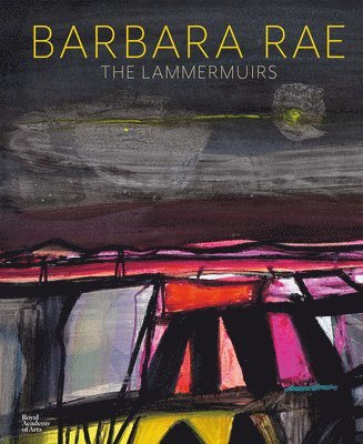 bokomslag Barbara Rae