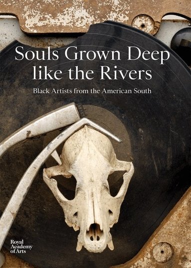 Maxwell L. Anderson, Raina Lampkins-Fielder - Souls Grown Deep like the Rivers, Inbunden