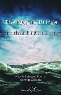 bokomslag The Fragile Bridge