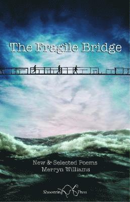 The Fragile Bridge 1