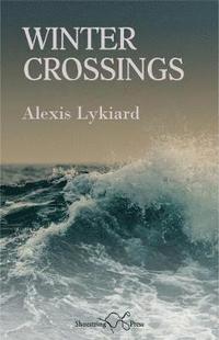 bokomslag Winter Crossings