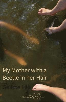 bokomslag My Mother with a Beetle in her Hair