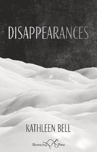 bokomslag Disappearances
