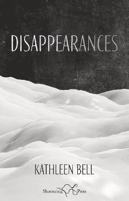bokomslag Disappearances