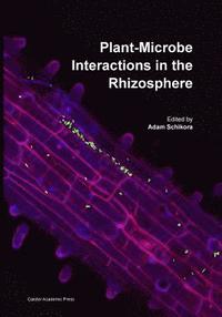 bokomslag Plant-Microbe Interactions in the Rhizosphere