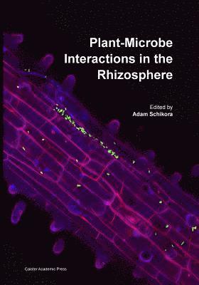 bokomslag Plant-Microbe Interactions in the Rhizosphere