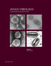 bokomslag Avian Virology