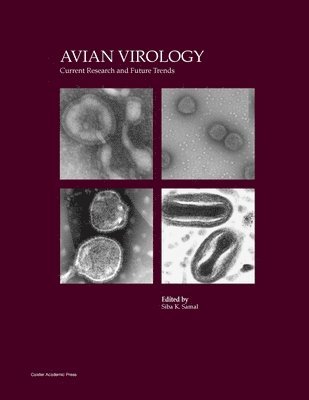 Siba K. Samal, Siba  K. Samal, Siba K Samal - Avian Virology, Häftad