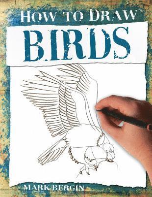 Birds 1