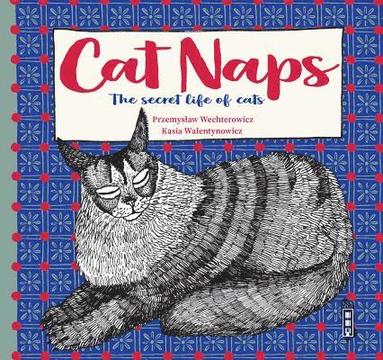 Przemyslaw Wechterowicz - Secret Lives of Cats, Inbunden