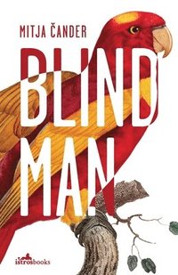 bokomslag Blind Man