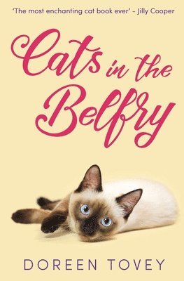 bokomslag Cats in the Belfry