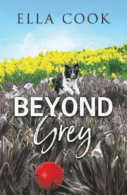 Beyond Grey 1