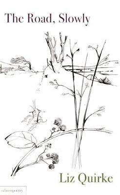 Liz Quirke - Road, Slowly, Häftad