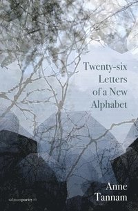 bokomslag Twenty-six Letters of a New Alphabet