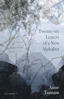 Twenty-six Letters of a New Alphabet 1