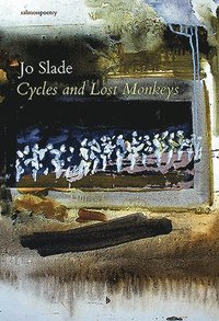 bokomslag Cycles and Lost Monkeys