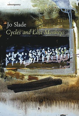 bokomslag Cycles and Lost Monkeys