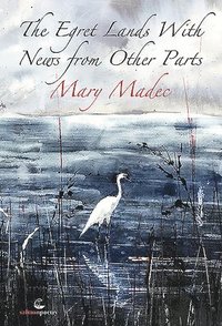 bokomslag Egret Lands With News From Other Parts