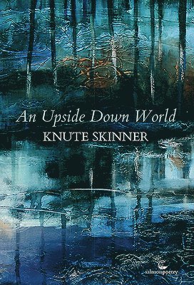 bokomslag Upside Down World