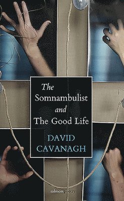 David Cavanagh - The Somnambulist and the Good Life, Häftad